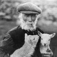 Dafydd Jacob