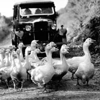 Trecastle Road 1938