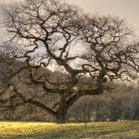 Llangiwg